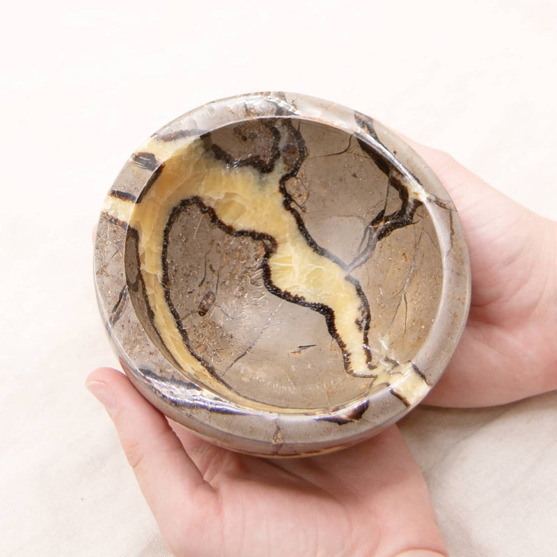 #12 swatch