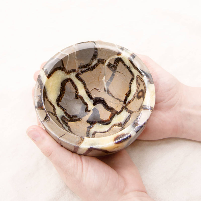 #13 swatch