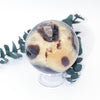 #1 swatch