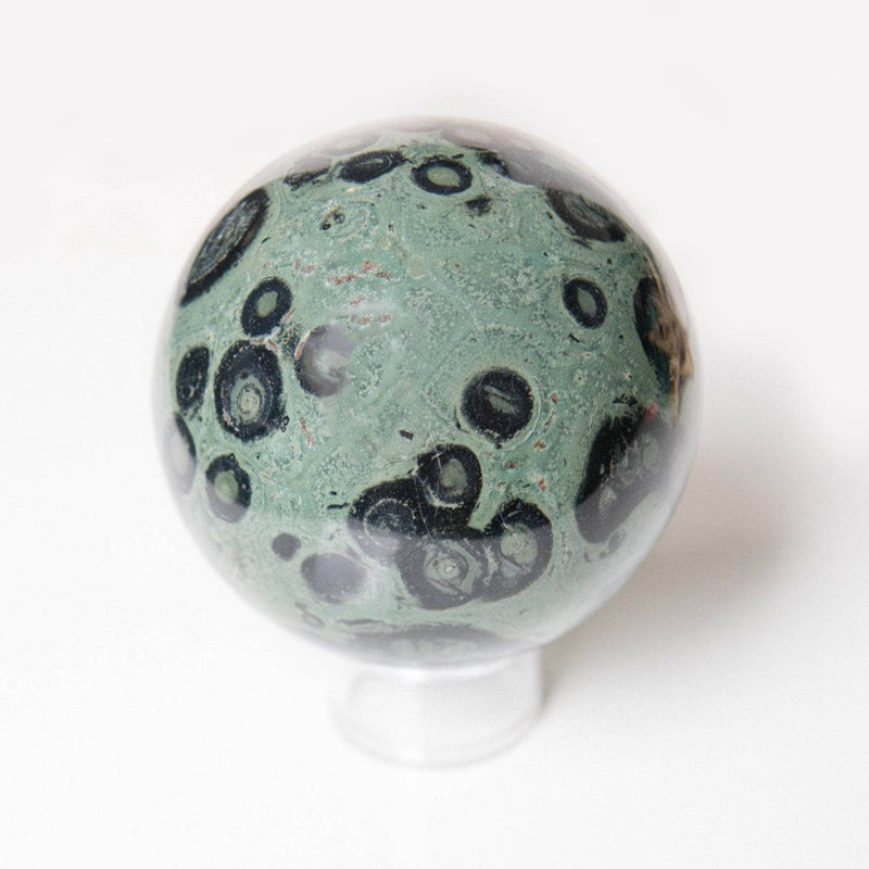#16 swatch