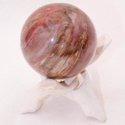petrified wood