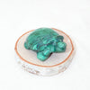 #12 swatch