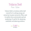 Tridacna Shell Energy Bracelet