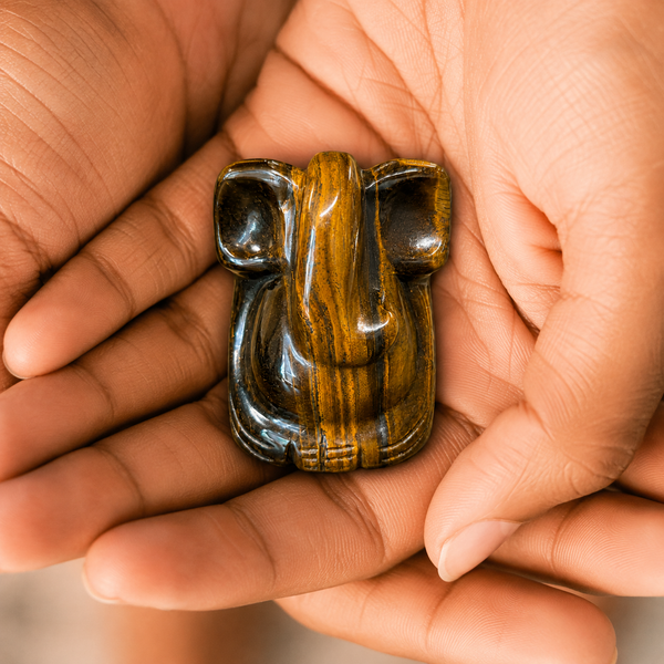 Tiger Eye Ganesh