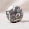 Shell Fossil Sphere with Tripod - AAA Premium Quality