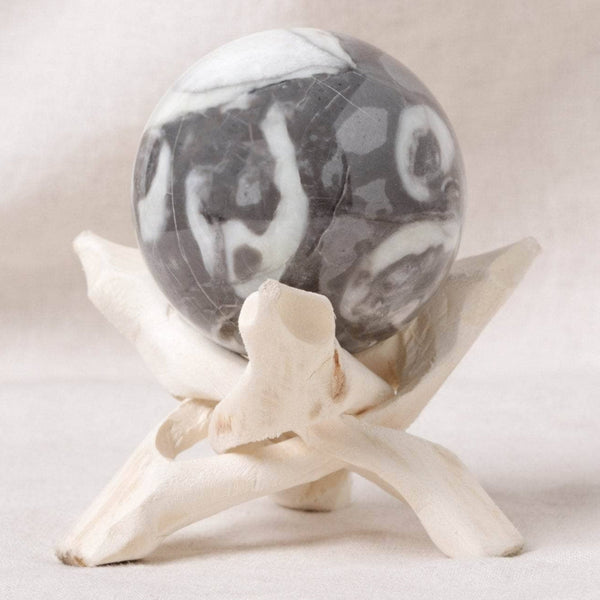 Shell Fossil Sphere with Tripod - AAA Premium Quality