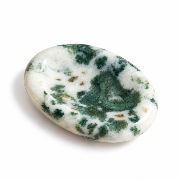 Tree Agate Worry Stone