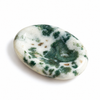 Tree Agate Worry Stone