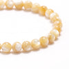 Trochus Sea Shell Energy Bracelet - 4mm