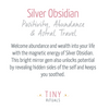 Silver Obsidian Pyramid