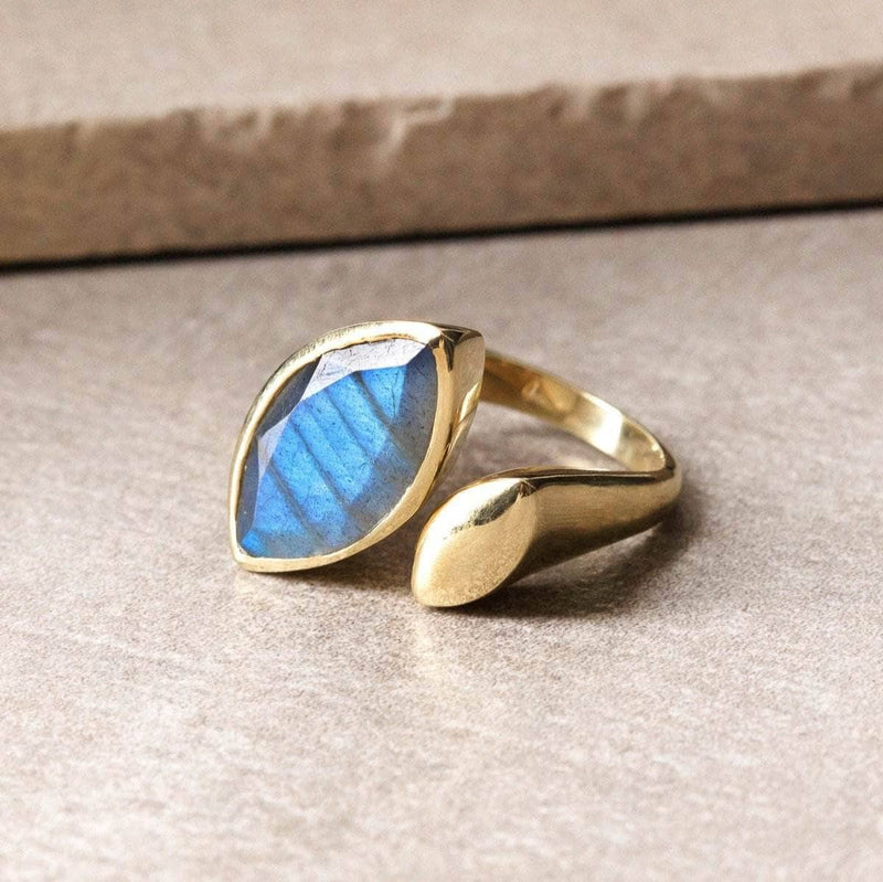 Journey of Discovery Labradorite Ring - Size 6