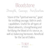 Bloodstone Energy Bracelet