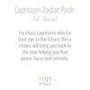Capricorn Bracelet Set