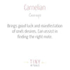 CARNELIAN ENERGY BRACELET