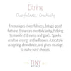 Citrine Energy Bracelet
