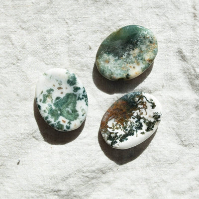 tree agate