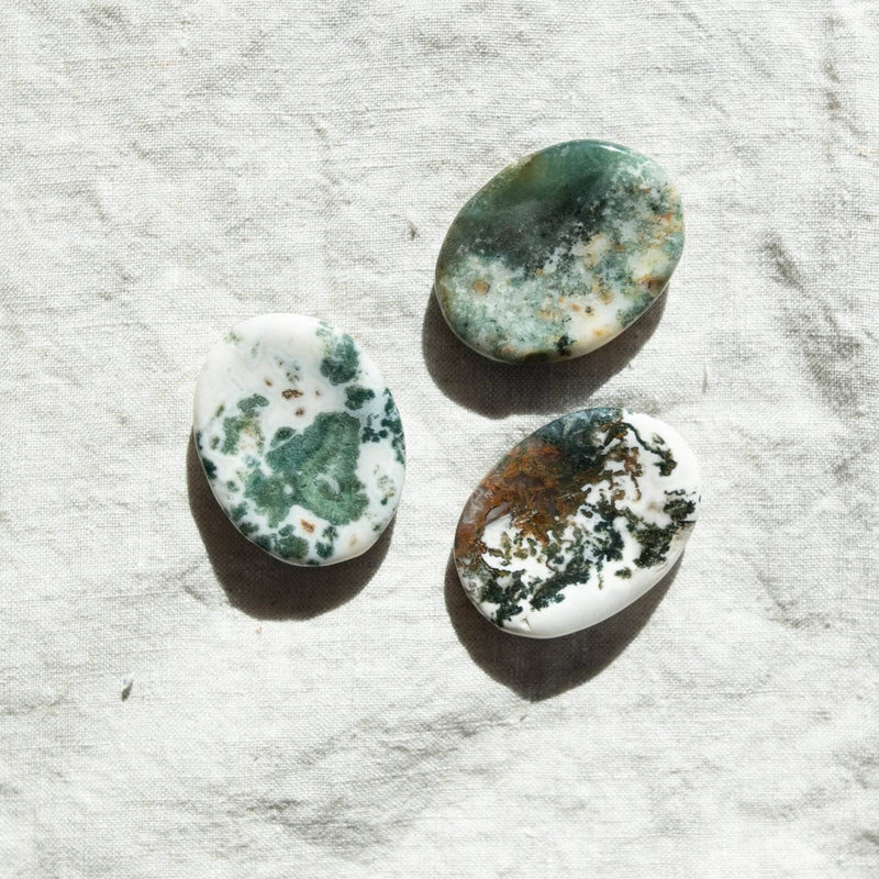 Tree Agate Worry Stone