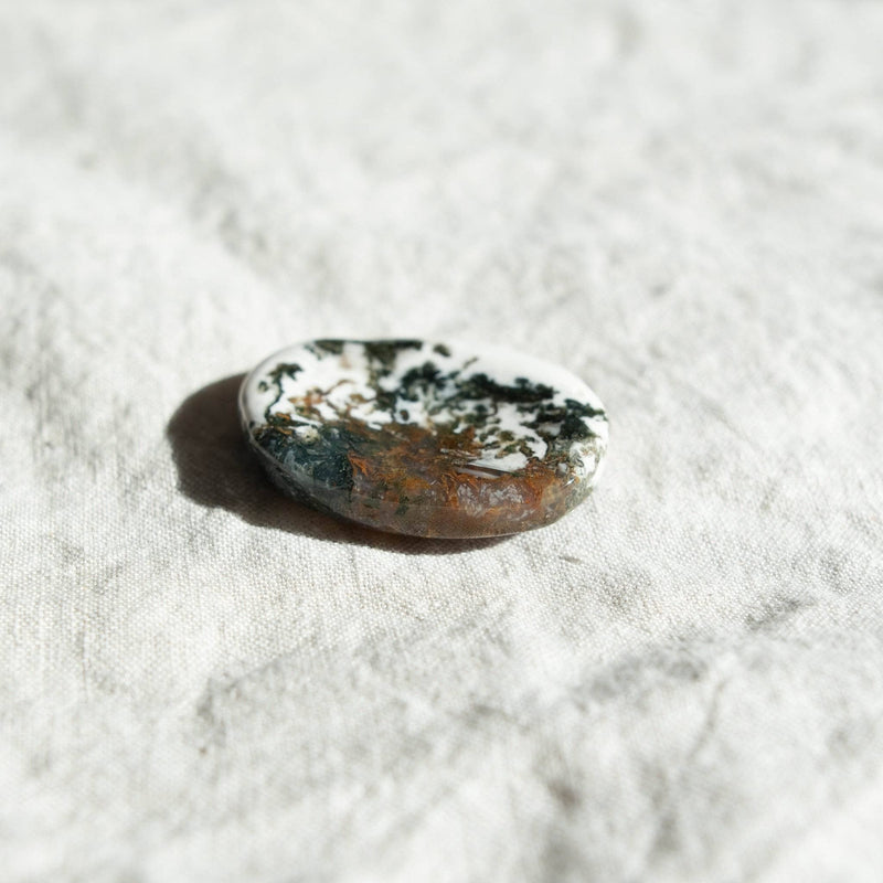 Tree Agate Worry Stone