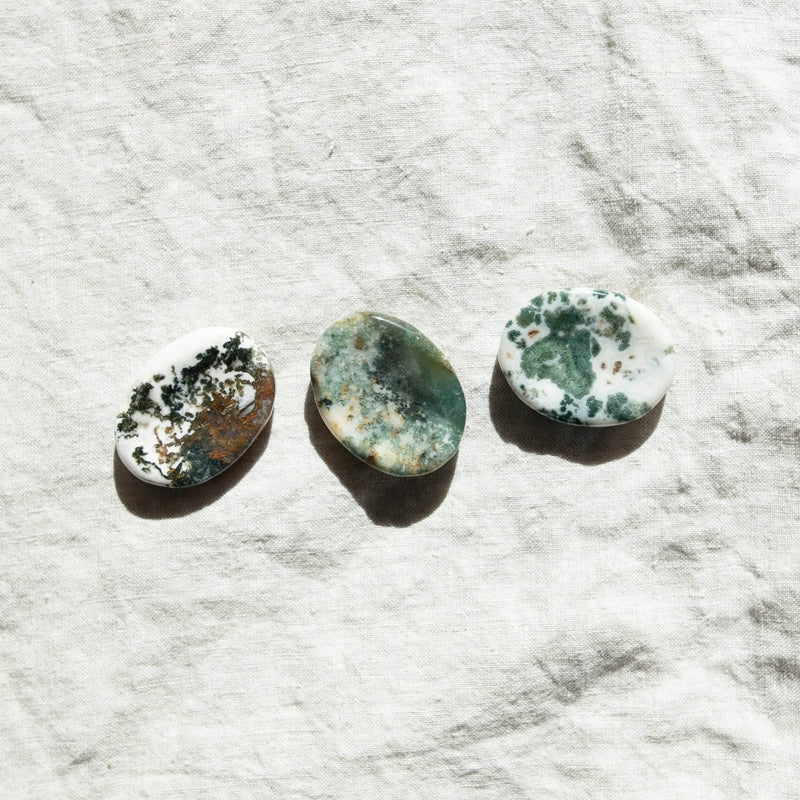 Tree Agate Worry Stone