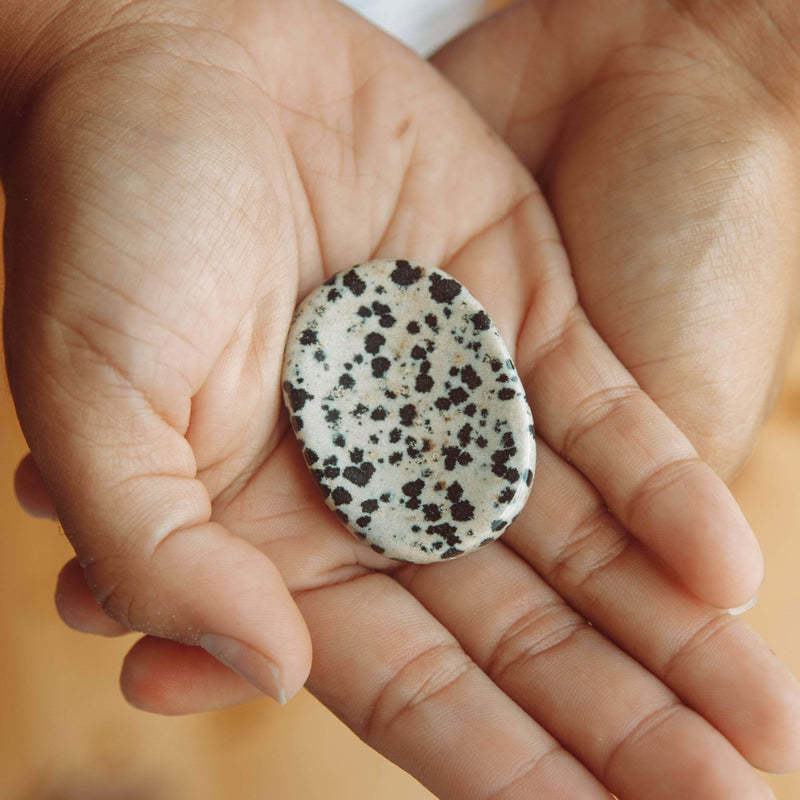 Dalmatian Jasper Worry Stone