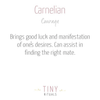 Carnelian Energy Anklet
