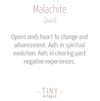 Genuine Malachite Energy Anklet