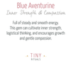 Blue Aventurine Palm Stone