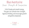 Blue Aventurine Worry Stone