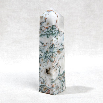 tree agate