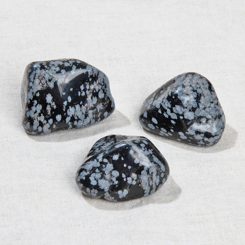 Snowflake Obsidian Stone Set